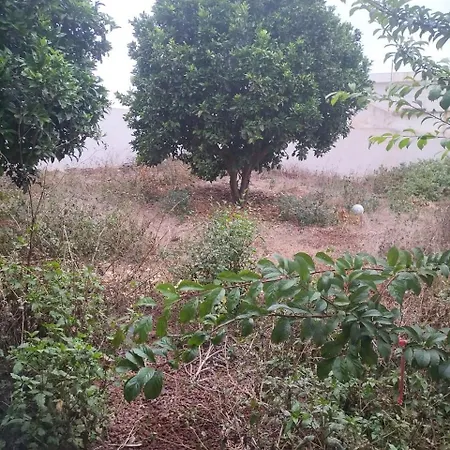 Casa Residencial * טקורונטה
